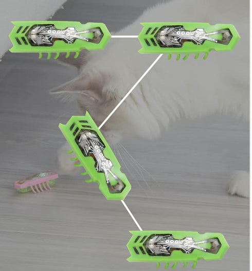 fatdaa Exercise2pcs Cat Toys Teaser InteractiveMini Electronic Robot Beetle Funny cat Toy, Cat Bug Educational Toy