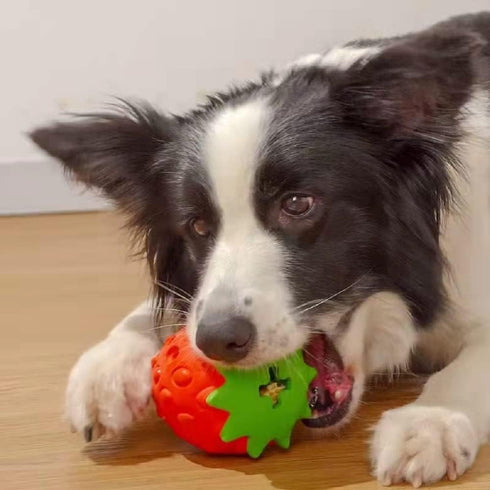 Strawberry Chew Toy for Dogs, Natural Rubber Balls for Aggressive Chewers, Interactive Treat Dispensing
