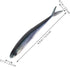 3D Toddmomy Bionic Soft Fishing Lures Pair Sinking Artificial Tuna Swimbaits for Saltwater and Freshwater Pike Fishing