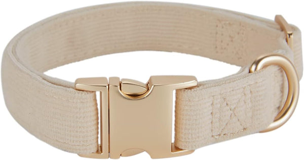 Soft Corduroy Dog Collar - High Grade Metal Buckle for Small Dogs (White, Small: 10-15")