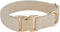 Soft Corduroy Dog Collar - High Grade Metal Buckle for Small Dogs (White, Small: 10-15")