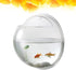 Alipis Fish Tank Hanging Wall Plants - Wall Mounted Acrylic Fish Bowl, Hydroponic Pot for Air Plants, Round Glass Vase