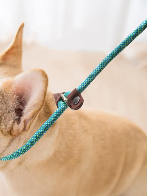 BTINESFUL 7FT Slip Lead Dog Leash, Strong Nylon Rope, 1/4 & 1/2 inch Diameter for Small Medium Large Dogs - Green Dot