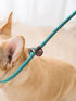 BTINESFUL 7FT Slip Lead Dog Leash, Strong Nylon Rope, 1/4 & 1/2 inch Diameter for Small Medium Large Dogs - Green Dot
