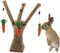Pet Climbing Tree Toy - Rattan Grass Scratcher Activity Center with Carrot for Cat, Rabbit, Hamster, Small Animals