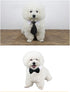 8 Pieces Pets Dog Cat Bowtie and Sunglasses, Adjustable Formal Necktie Collar for Small Dogs and Cats (Black/red +
