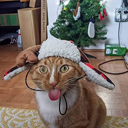 Huxley & Kent Pet Hat | Antler Buffalo Check (Medium) | Holiday Accessory for Dogs/Cats | Festive Christmas Pet Hat |