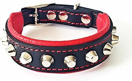 Bestia Rocky Studded Dog Collar, Hand Made, 100% Leather, Soft Padded, 1 or 2 inch Wide, 7 Sizes