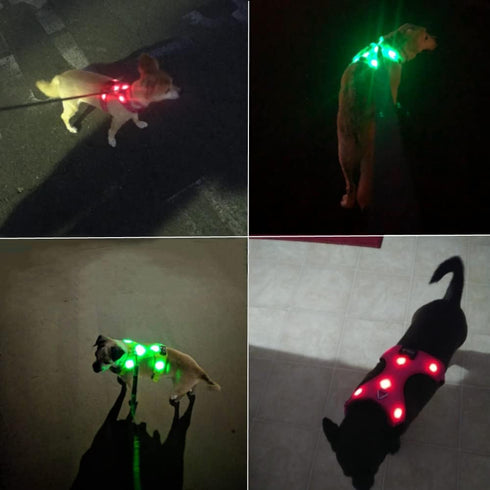 Light Up Dog Harness, No-Pull LED Rechargeable Glowing Pet Harness for Night Walking & Camping, Hotpink