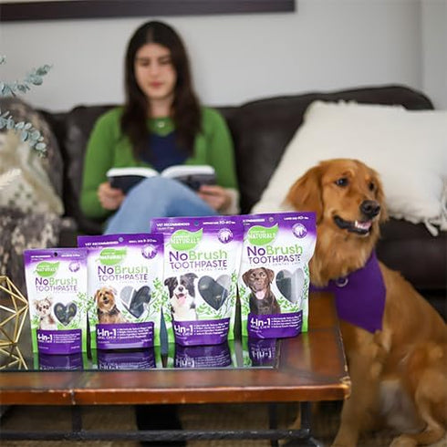 10 oz, 1 Pack Every Day Naturals Dog Dental Chew, No Brush Toothpaste for Small Breeds, Freshens Breath, Unique Texture