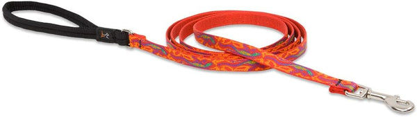 LupinePet Originals 1/2" Go Go Gecko 6-foot Padded Handle Leash for Small Pets