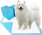Dogcator Puppy Pads Extra Large 30"x36", 40 Count Thicken XLarge Puppy Pee