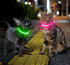Candofly Puppy Light Up Dog Collar - USB Rechargeable LED Dog Collar for Small Dogs & Cats, Night Walking (X-Small,
