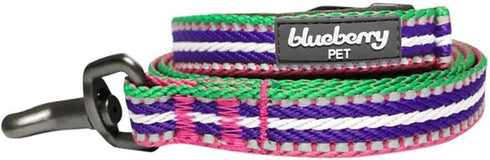 Blueberry Pet Reflective Dog Leash - Eco-Friendly Durable Nylon Puppy Essentials, Gentle Leader, Comfortable Handle for