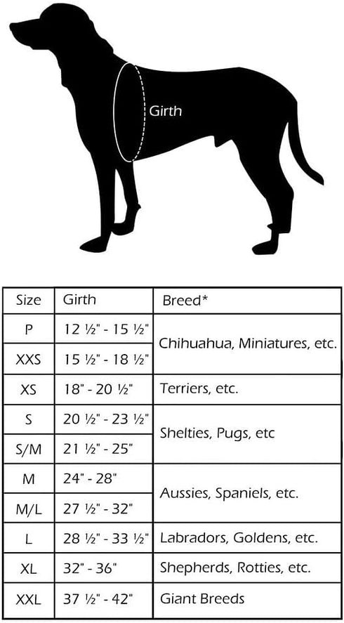 ComfortFlex Sport Harness - American Made No Pull Dog Harness for Large Dogs, Lightweight, Padded