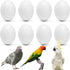 WOLEDOE 8Pcs Solid Plastic Parrot Fake Eggs, Keeping Them from Laying Anymore Eggs,