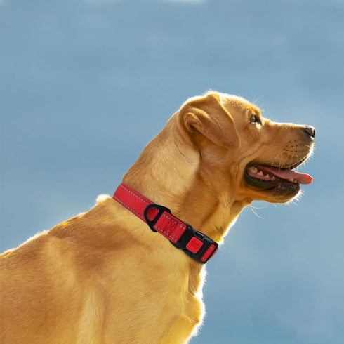 Taglory Reflective Dog Collar with Safety Locking Buckle, Adjustable Nylon Pet Collars for Medium Dogs (Red, M)