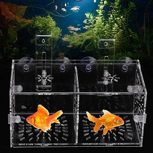 Fish Separation Breeder Box, Acrylic Isolation Box for Aquarium Hatchery Incubator (B-20x10x10cm)