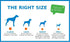 Chuckit Air Fetch Ball Dog Toy, Extra Large 3.5 Inch Diameter for Dogs Over 100 lbs