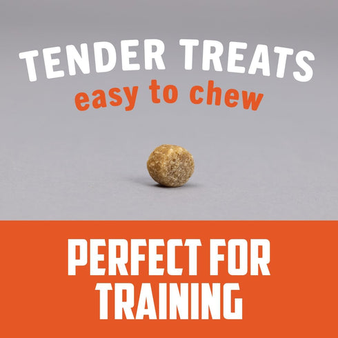 Field Master Perfect Partner Chicken & Brown Rice Recipe Training Dog Treats, 12 oz