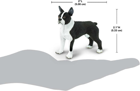 2.5" 3+ Safari Ltd. Boston Terrier Figurine - Lifelike Model Figure - Educational Toy for Boys, Girls, and Kids Ages
