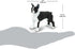 2.5" 3+ Safari Ltd. Boston Terrier Figurine - Lifelike Model Figure - Educational Toy for Boys, Girls, and Kids Ages
