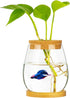 Desktop Fish Bowl, Clear Glass Small Fish Tank with Wood Lid and Bamboo Stand for Betta Fish