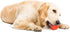 Omega Paw Tricky Treat Ball - Medium, Orange