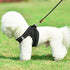 Small Dog Leash, Lightweight Strong Nylon Rope Leash, 1/4" by 6/8/10 FT, Bright Classic Leash for Small Pets/Puppy/Cat