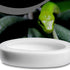 Reptile Worm Feeding Dish Bowls, Gecko Lizard Feeder Dish with 2 Bowls and 1 Feeding Tong, Ceramic Mini Size