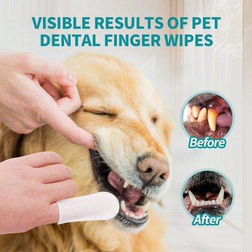 PITHER Dog Teeth Cleaning Wipes, Disposable Gentle Dental Finger Wipes for Dogs & Cats, 50 Counts for Freshening Breath