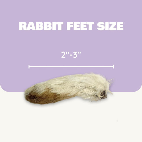 Benji & Louie 2.5 oz, 12 Count Air Dried Rabbit Feet - Whole Rabbit Front Feet with Fur - Natural Healthy Dog Treats