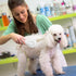 Pet Grooming Brush, Cat Brush for Shedding, Self Cleaning Slicker Brush for Short and Long Haired Dogs Cats, Pumpkin