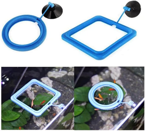 4 Pcs Fish Feeding Ring, Square and Round Aquarium Floating Food Feeder with Suction Cup