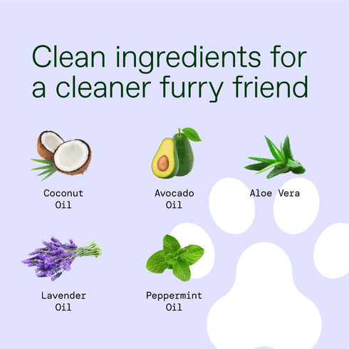 ALOH Hypoallergenic All-Natural Multi-Purpose Pet Wipes - Lavender + Wild Mint 50ct Wipes