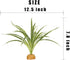 WOLEDOE Artificial Spider Plants, Reptile Terrarium Decor, Bearded Dragon Tank Accessories fit Crested Gecko Leopard