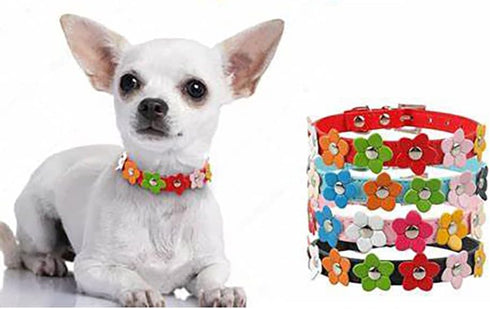 Flower Dog Collars for Small Dogs, Fancy Colorful Floral Cute Girl Puppy Collar for XS Small Breed Female Dogs Tiny