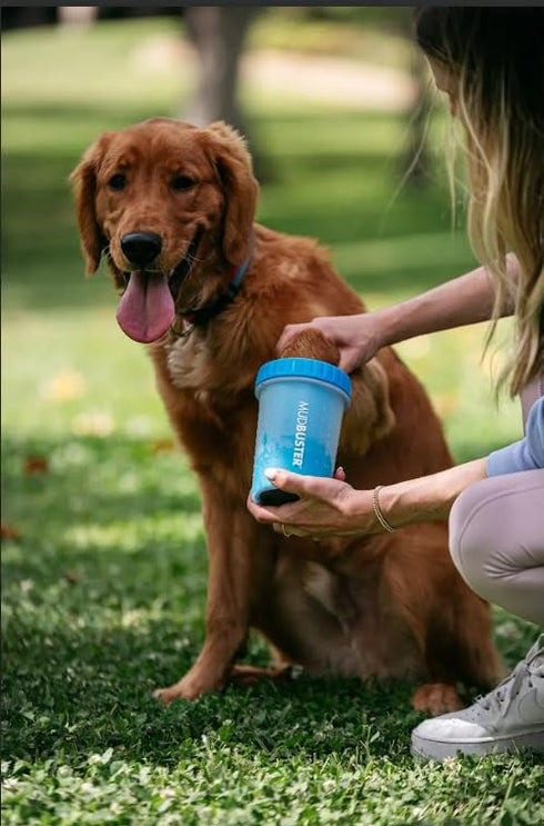 Dexas MudBuster Portable Dog Paw Cleaner, Medium, Blue - Premium Quality Pet Supplies