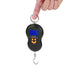 Portable LCD Display Digital Fishing Hanging Scale, Electric Weighing Scale for Home and Fishing