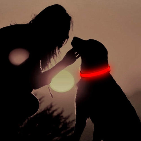 LED Dog Collar, USB Rechargeable Light Up Safety Collar for Small, Medium, Large Dogs (Large, Ruby Red)