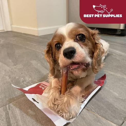 6"), Pack 8 GigaBite Bully Sticks for Dogs All Natural Beef Pizzle Dog Chews, Odor & Rawhide Free Dog Treats, Long