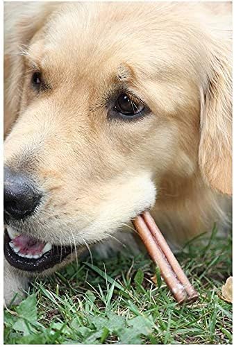 Downtown Pet Supply 6-inch Bully Sticks for Dogs, Pack of 18 - Nutrient-Rich, Odor Free Chews