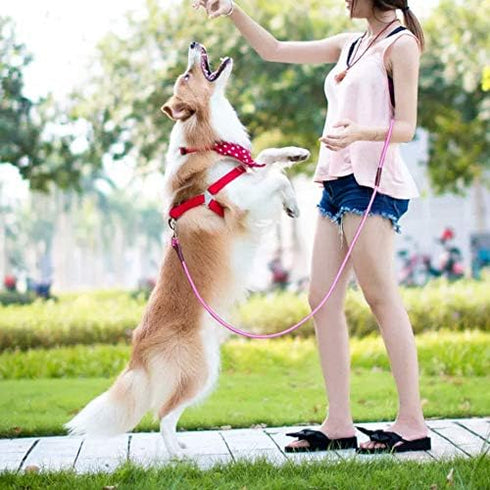 MayPaw Dog Leash, 6 ft*1/2", Pink, Classic Solid Colors, Strong Nylon Rope, Heavy Duty Silver Clasp, Reinforced with