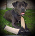 Dingo Gear Tug Toy for Dog Training, Jute Bumper with One Handle, Dog Bite Pillow for Aggressive Chewers