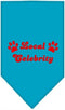 Pet and Dog Bandana Screen Printed, Local Celebrity Turquoise Small