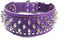 Dogs Kingdom Purple Faux Leather Spiked Studded Dog Collar 2" Wide Pet Collar Pitbull Boxer