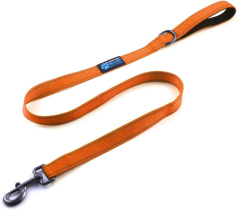 Small Dog Reflective Nylon Dog Leash by Max and Neo - We Donate a Leash to a Dog Rescue for Every Leash Sold (ORANGE,