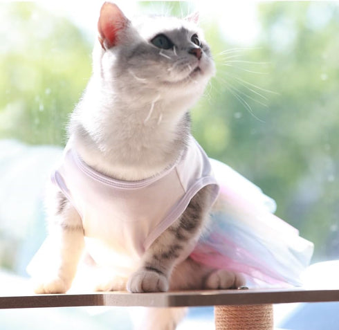 ANIAC White Dog Dress, Summer Clothes for Small Dog Girl, Spring Puppy Princess Dress, Cat Outfit, Rainbow (Large,