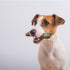 Bonies Natural Calming Formula - Small-Sized Single Bone with Chamomile & Lavender, Helps Anxiety, 15 Bones