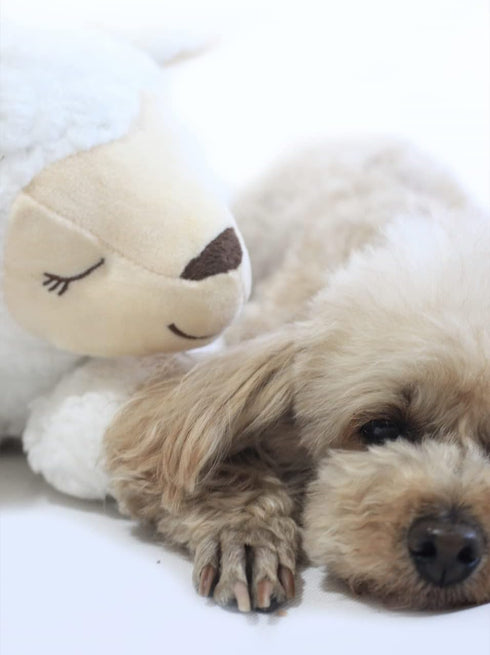 Dog Heartbeat Toy for Anxiety Relief - Soft Plush Calming Toy for Puppy Behavioral Training - Sheep Companion Pillow